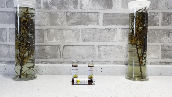 Le liquide oral OEM Venous Health améliore la santé respiratoire, cardiovasculaire et cérébrovasculaire