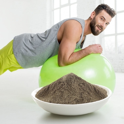 Poudre organique de haute qualité de protéine de Vegan de gain de poids de supplément de poudre de protéine d'OEM