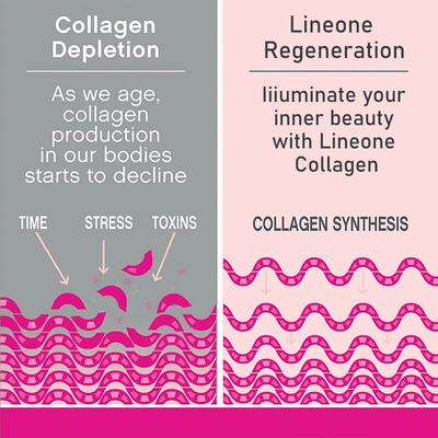 Peptide hydrolysé de collagène de collagène de poisson de produits de beauté de poudre de boisson de protéine de collagène d'OEM