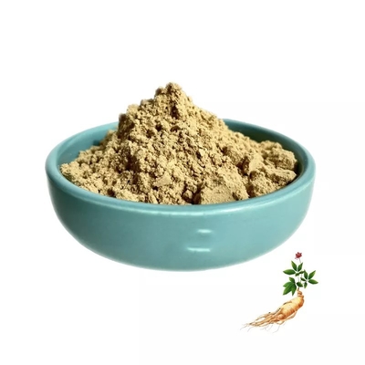 Fournisseur d'usine Thaïlande Capsule et comprimés d'OEM de poudre de gingembre noir pour les soins de santé des hommes