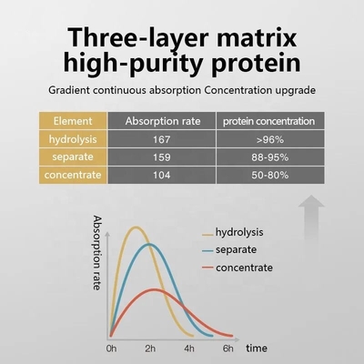 Exercice de forme physique de poudre de nutrition de poudre de protéine de lactalbumine d'OEM/ODM augmentent la poudre de créatine de gain de poids rapide de muscle