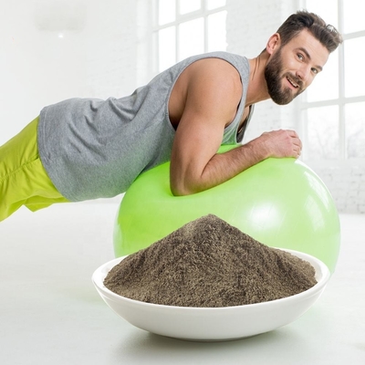 Poudre organique de protéine de Vegan de gain de poids de poudre d'OEM de protéine