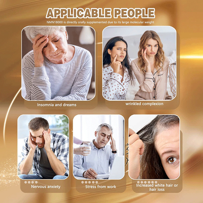L'OEM complète la poudre bêta de la capsule 99% NMN du mononucléotide 500MG NMN de nicotinamide