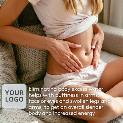 Le Vegan de haute qualité de supplément de soins de santé d'OEM brûlent la pilule brûlante FatZorb de Detox de grosse perte de poids amincissant des capsules