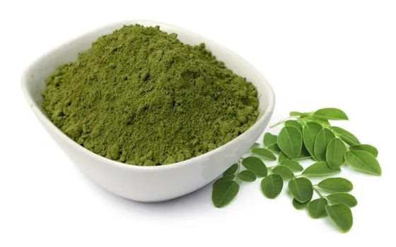 Les marques de distributeur de poudre d'OEM Moringa que moringa capsule organique adaptent la poudre aux besoins du client de feuille de moringa