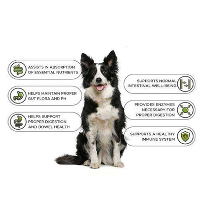 Supplément s'exerçant de protéine de Dog Weight Gain de constructeur de gain de muscle de santé de supplément de Tablette de gain de Nutrit d'animal familier d'OEM Natur