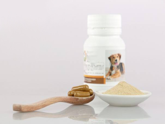 Suppléments nutritionnels d'animal familier d'OEM
