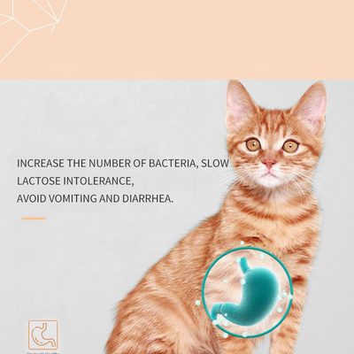 Suppléments de soins de santé d'animal familier d'OEM Cat Milk Supplement de chatons
