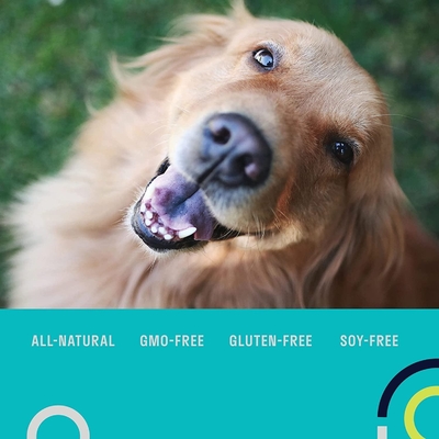 Les Multivitamins choient le supplément Probiotic quotidien libre d'OEM de grain nutritionnel de suppléments pour des chiens