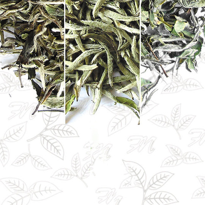 Emballage neutre de feuille de tumeur de désintoxication d'OEM de thé de thé de fines herbes traditionnel plat de perte de poids