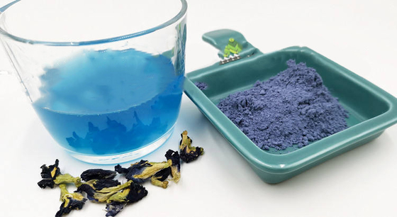 OEM bleu sec naturel de fines herbes de Pea Flower Tea de papillon
