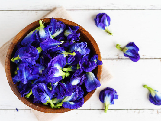 OEM bleu sec naturel de fines herbes de Pea Flower Tea de papillon