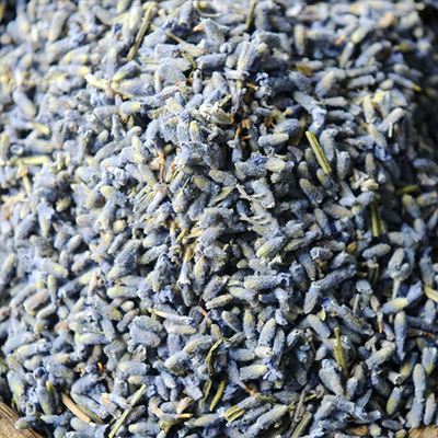 Alternative saine de fines herbes au thé de lavande sec par fleurs sec par thé