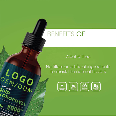 Gouttes liquides de chlorophylle OEM/ODM Concentré 100 % naturel Booster d'énergie, digestion et soutien du système immunitaire