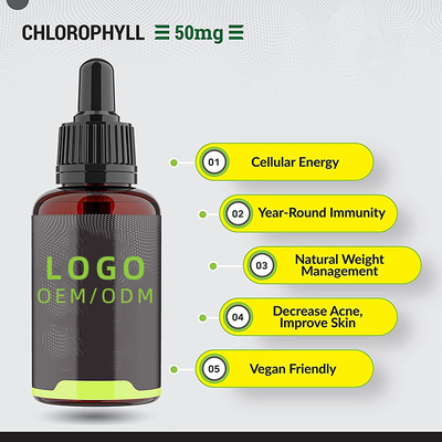 Baisses liquides de chlorophylle d'OEM/ODM pour la menthe poivrée de l'eau assaisonnée pour le supplément immunisé d'énergie de soutien de santé de peau