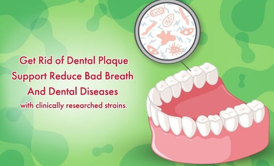 Sugar Free Oral Probiotic Bubble que les pastilles marquent sur tablette 3 milliards de CFU pour des dents colle la santé et le souffle frais