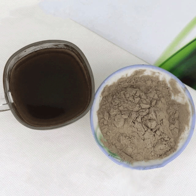 Poudre d'enzymes Noni fraîche pour poudre de boissons solides