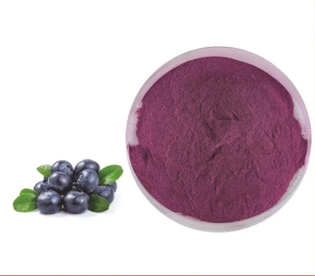 Extrait de fruits naturels boisson solide Instant Juice de myrtille en poudre