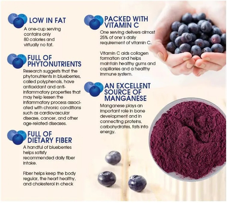 Extrait de fruits naturels boisson solide Instant Juice de myrtille en poudre