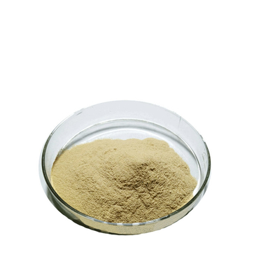 Supplément naturel Extrait de feuille de thé vert de haute qualité 98% de poudre de polyphénols de thé