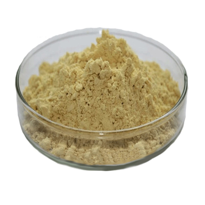 Supplément naturel Extrait de feuille de thé vert de haute qualité 98% de poudre de polyphénols de thé