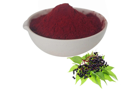 Produit fourni à chaud soluble dans l' eau Jus de sureau en poudre Fruit en poudre