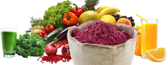 Produit fourni à chaud soluble dans l' eau Jus de sureau en poudre Fruit en poudre